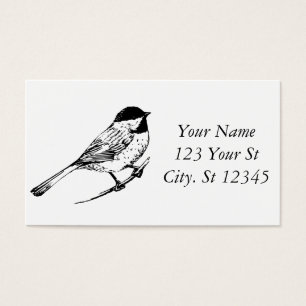 Black-capped Chickadee Thunder_Cove