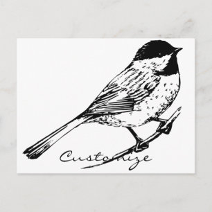 Black-capped Chickadee Thunder_Cove Postcard