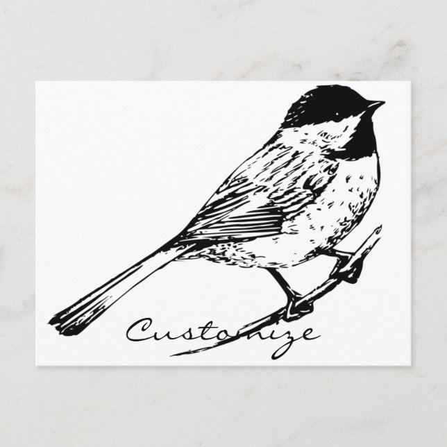 Black-capped Chickadee Thunder_Cove Postcard (Front)