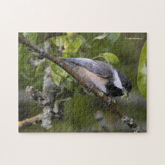 Black-Capped Chickadee with Mouthful of Worms Jigsaw Puzzle (Horizontal)