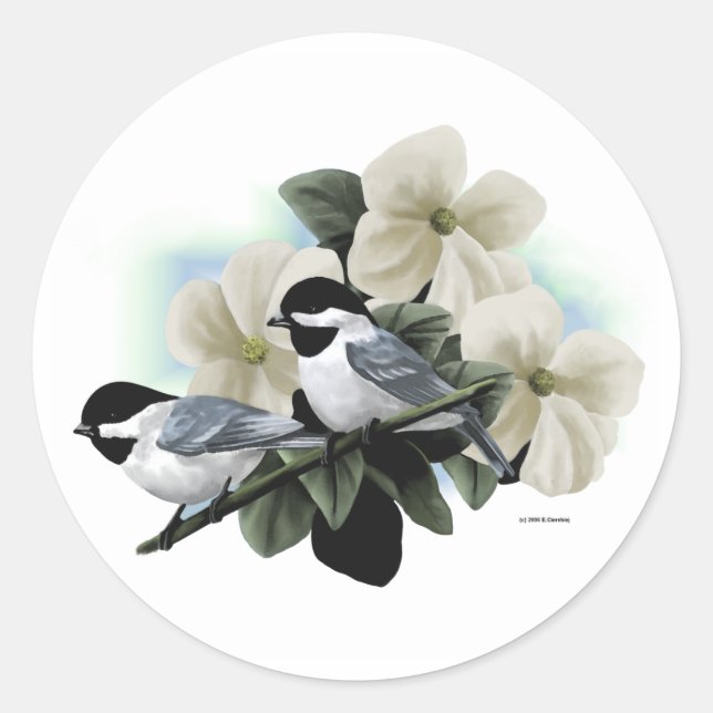 Black Capped Chickadees Classic Round Sticker (Front)