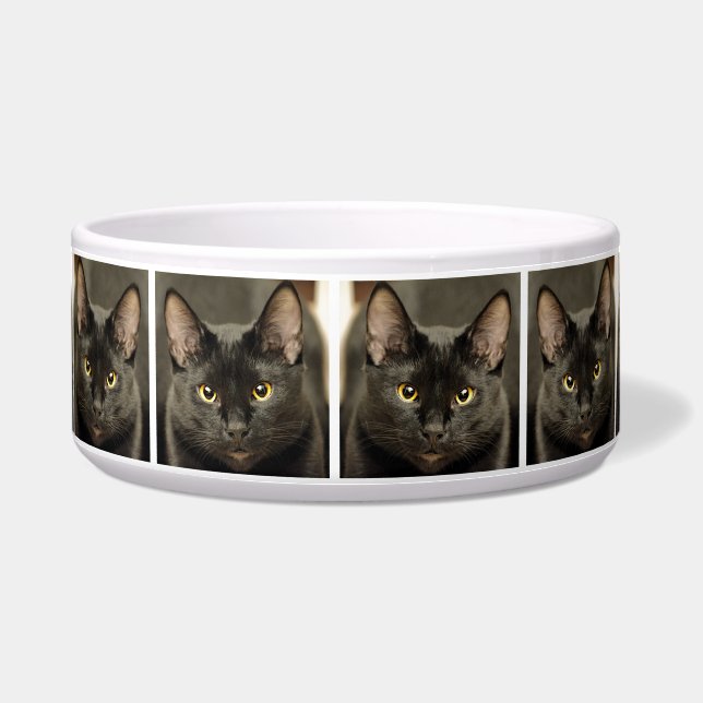 Black Cat (Front)