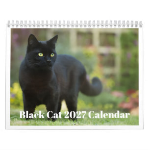 Black Cat 2027 Calendar