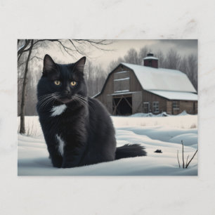 Black Cat 202 Series Postcard