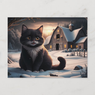 Black Cat 204 Series Postcard