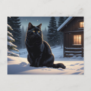 Black Cat 207 Series Postcard