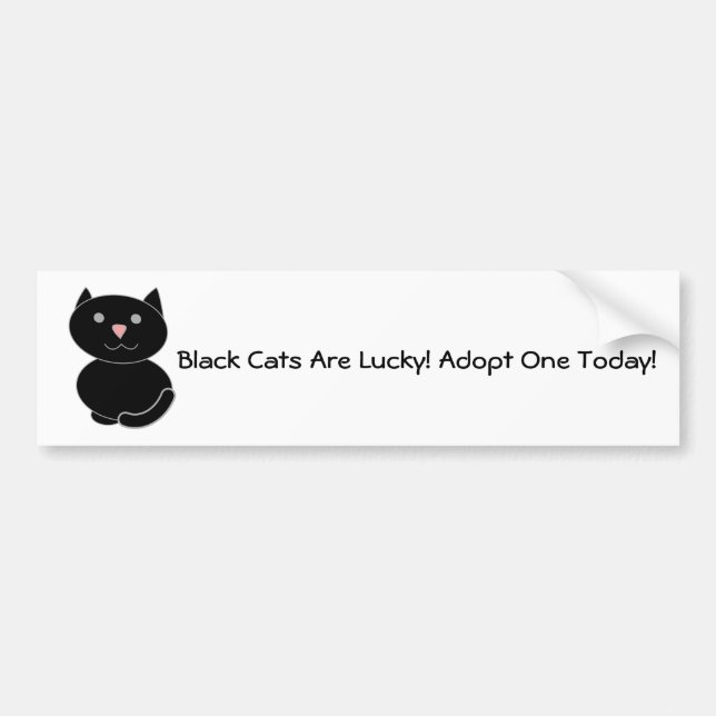 Black Cat Adoption Bumper Sticker (Front)
