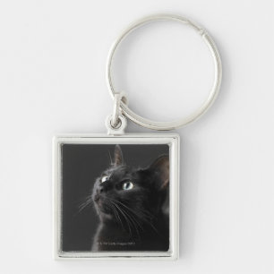Black cat against black background, close-up key ring