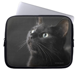 Black cat against black background, close-up laptop sleeve