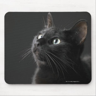 Black cat against black background, close-up mouse pad