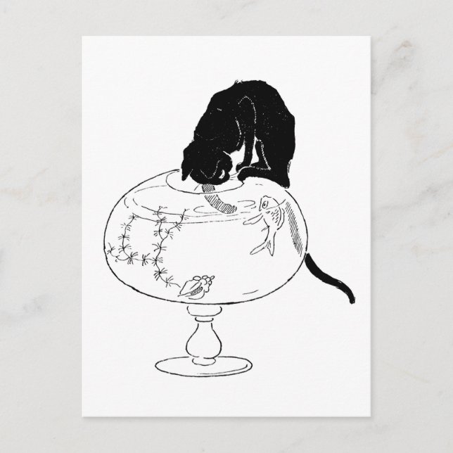 Black Cat and Goldfish, Alexandre Steinlen Postcard (Front)