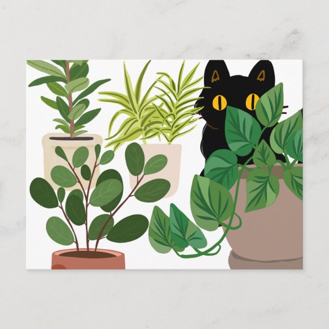 Black Cat and Plants postcard (Front)