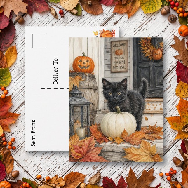 Black Cat and Pumpkin | Happy Halloween  Postcard (Creator Uploaded)