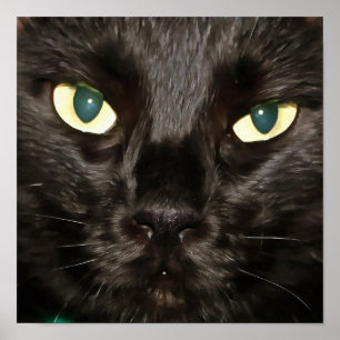 Black Cat Artistic Portrait Poster