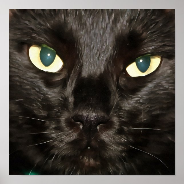 Black Cat Artistic Portrait Poster (Front)