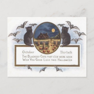 Black Cat Bat Farm Pumpkin Haystack Full Moon Postcard