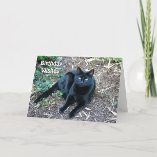 Black Cat Birthday Card 1