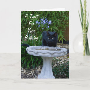 Black Cat Birthday Card 2