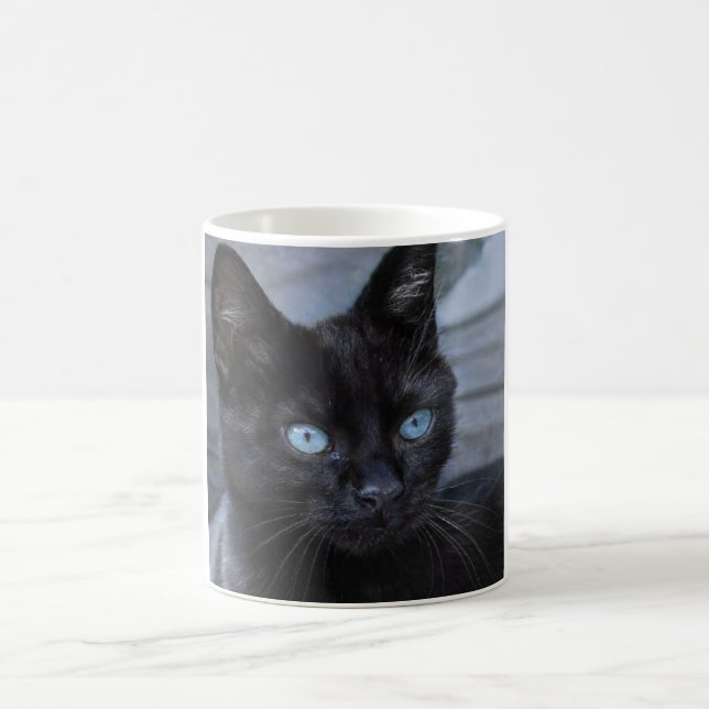 Black cat blue eyes beauty  coffee mug (Center)