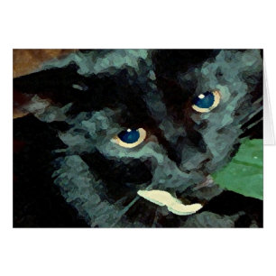 Black Cat Blue Eyes Photography Art