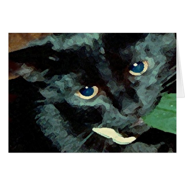 Black Cat Blue Eyes Photography Art (Front Horizontal)