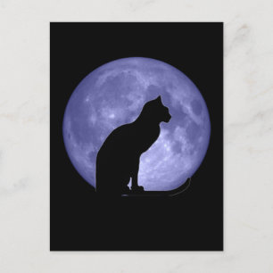 Black Cat Blue Moon Postcard