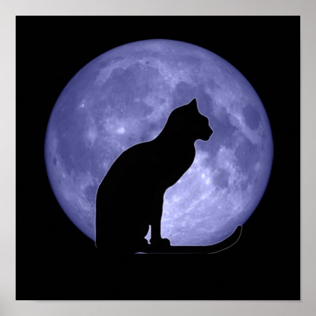 Black Cat Blue Moon Poster Print (Front)