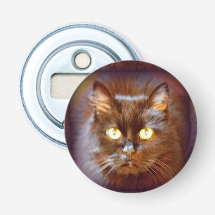 black cat bottle opener