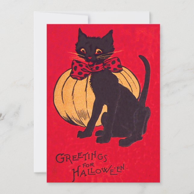 Black Cat Bowtie Pumpkin Vintage (Front)