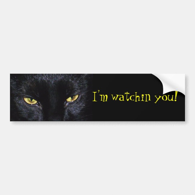 Black Cat Bumper Sticker (Front)