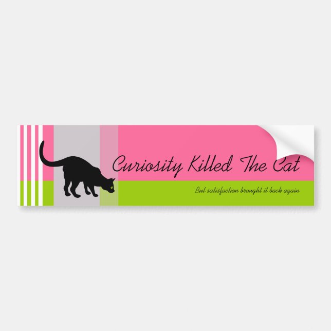 Black Cat Bumper Sticker (Front)