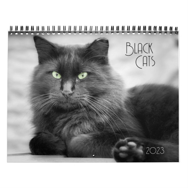 Black Cat Calendar (Cover)