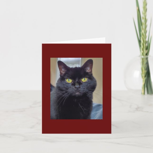 Black cat card (Front)