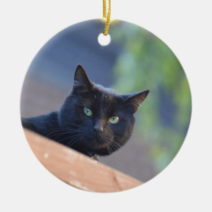 Black cat ceramic tree decoration