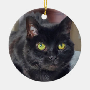 Black cat ceramic tree decoration