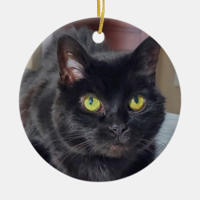Black cat ceramic tree decoration (Front)