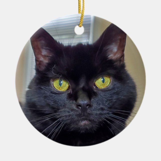Black cat  ceramic tree decoration (Front)