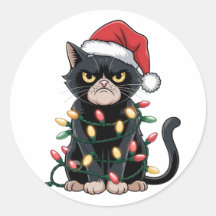 Black Cat Christmas Edition