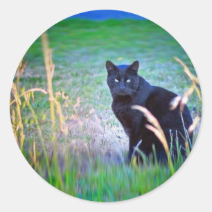Black Cat Classic Round Sticker