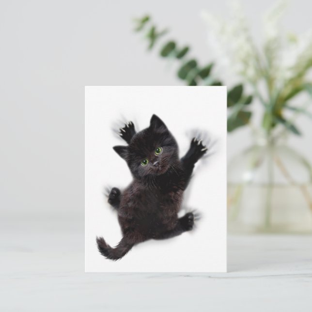Black Cat Climbing On Human Back Postcard (Standing Front)