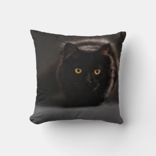 Black Cat Cushion