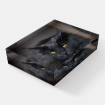 Black Cat Cute Kitty Cat Paperweight