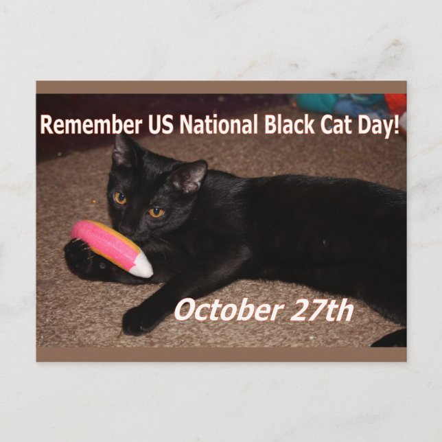 Black cat day postcard (Front)