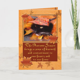 Black Cat Deluxe Thanksgiving Card