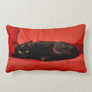Black Cat Edgar Lumbar Cushion