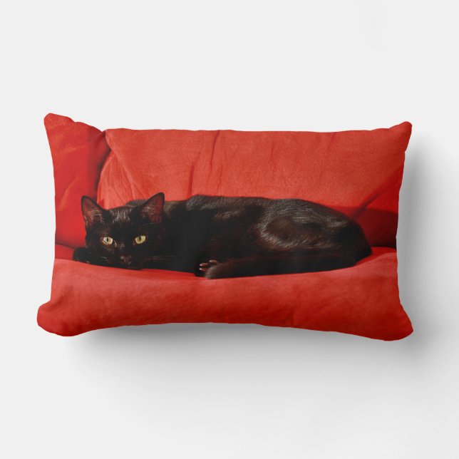 Black Cat Edgar Lumbar Cushion (Front)