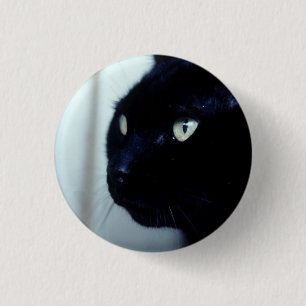 Black Cat Face 3 Cm Round Badge