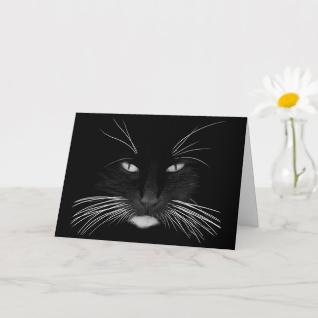 Black Cat Face Birthday Card (Small Plant)