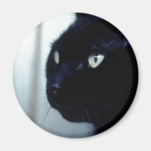 Black Cat Face Magnet