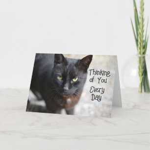 Black Cat Folded Thinking of You Greeting Card